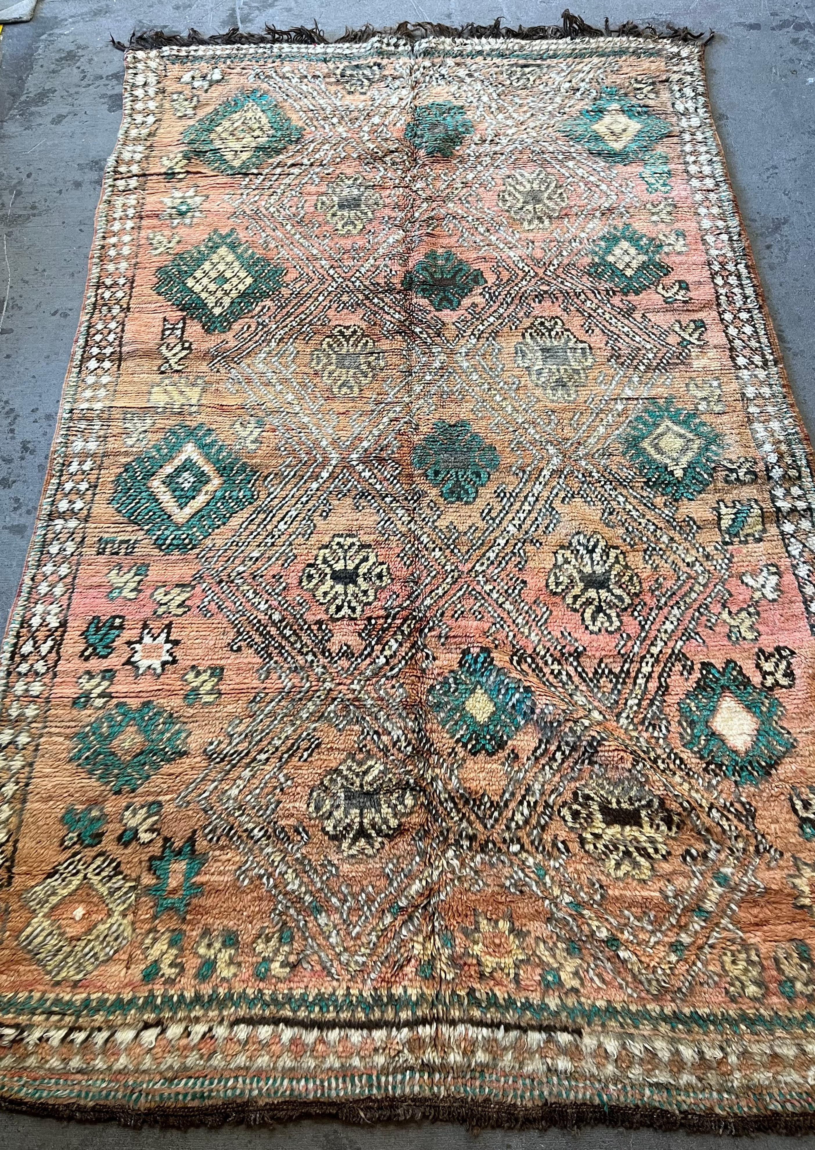 Envy area rug