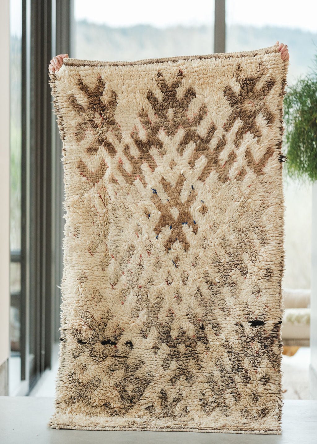 Fade & Form Accent Rug - Modern Myth Decor