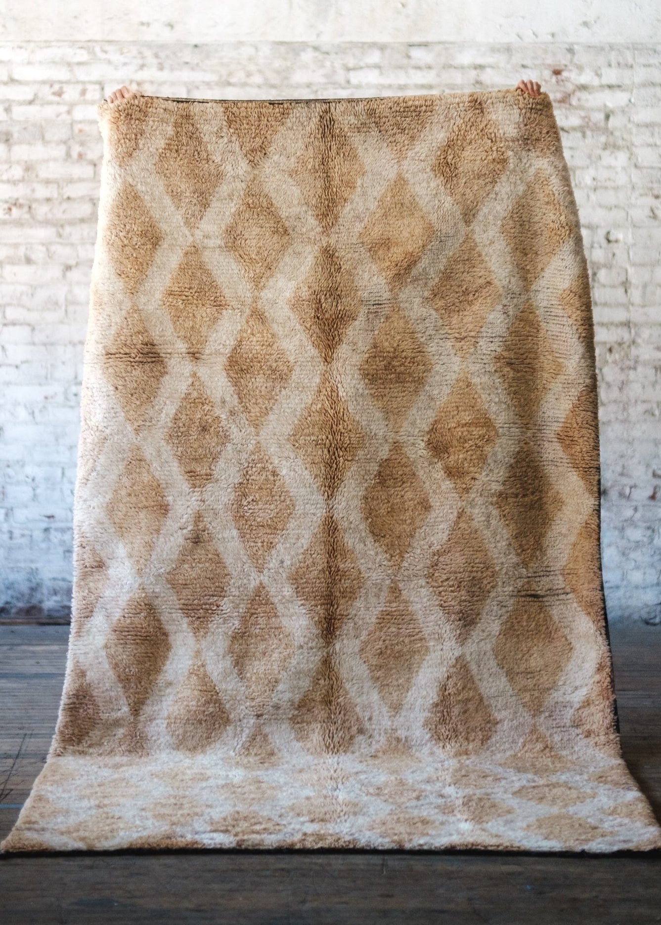 Rhythms of Life Area Rug - Modern Myth Decor