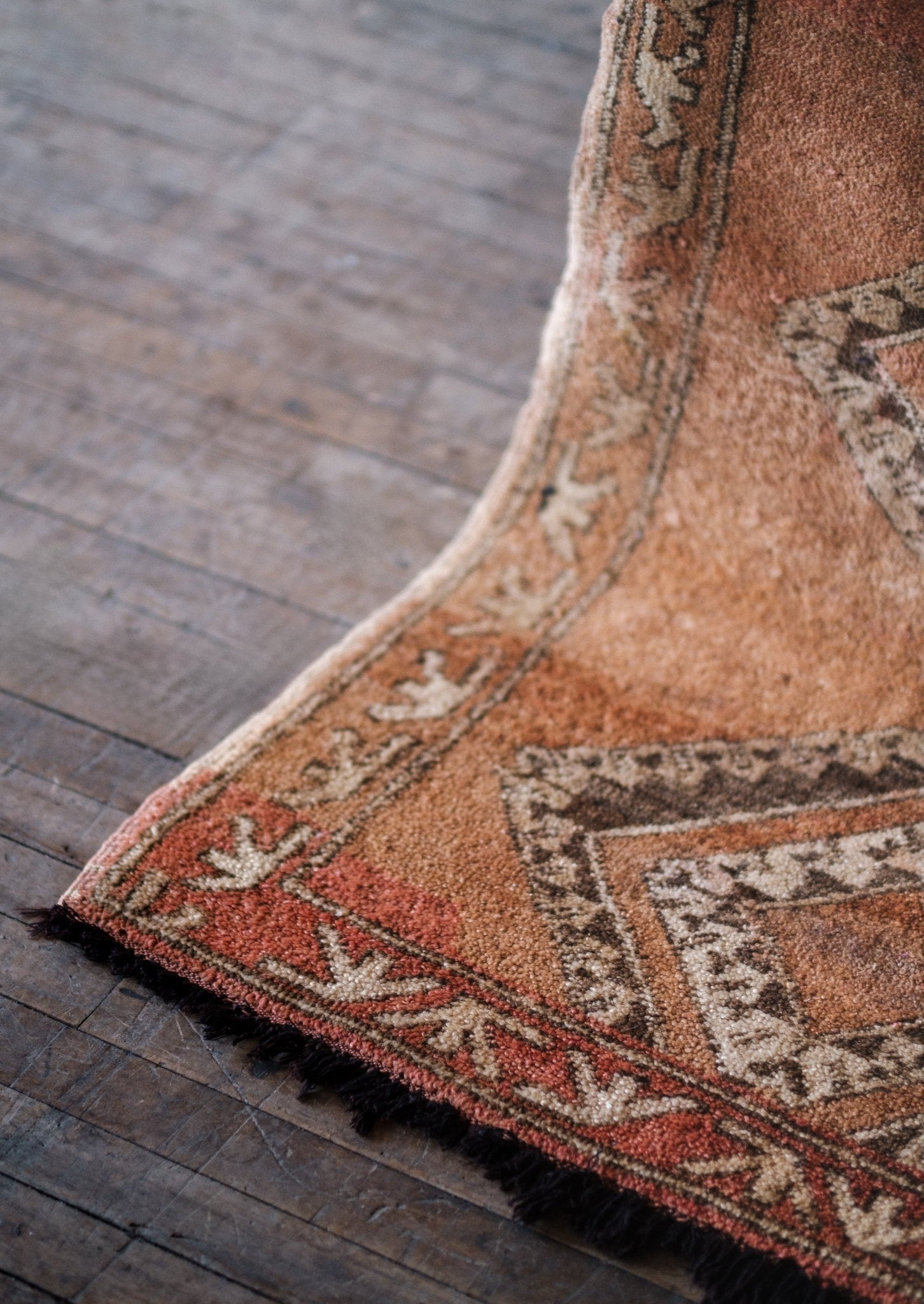 Terracotta Accent Rug - Modern Myth Decor