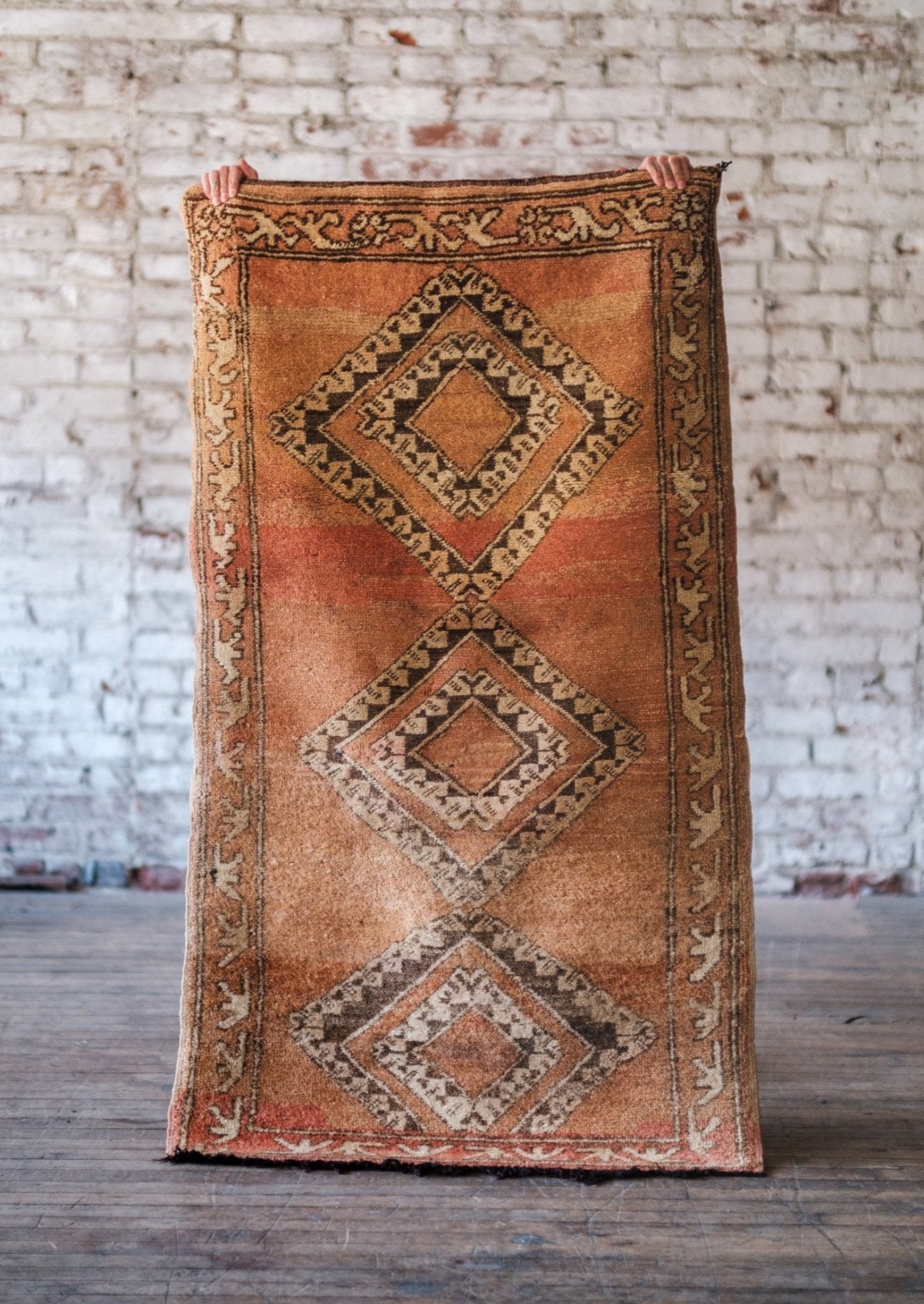 Terracotta Accent Rug - Modern Myth Decor